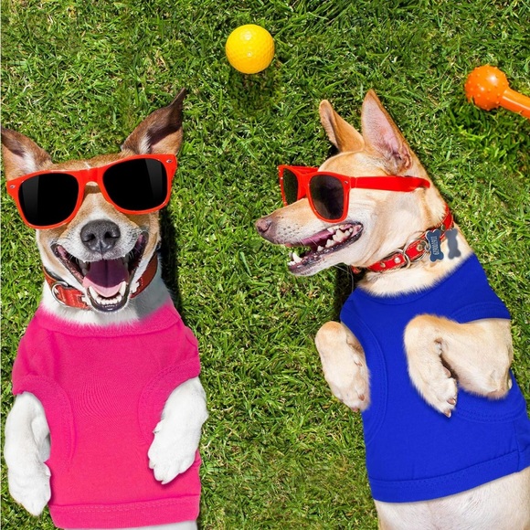 WEEWOODAY PET SHIRT - Picture 3 of 12